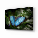 Butterfly Glass Wall Art.