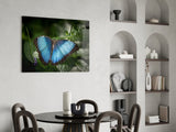 Butterfly Glass Wall Art.