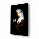 Ritratto Feroce dell'Aquila Calva quadro in vetro - 72x46 cm
