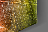 Macro Leaves Glass Wall Art.
