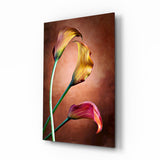 Golden Calla Lily Stems Glass Wall Art - 72x46 cm