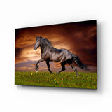 Tableau en verre Noblesse du cheval - 72x46 cm