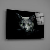 Cat Glass Wall Art.