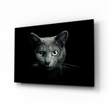 Chat Bleu aux Yeux Verts Sombre tableau en verre - 72x46 cm