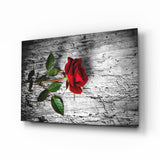 Rosa Roja Solitaria sobre Madera Envejecida cuadro de cristal - 72x46 cm