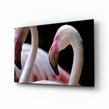 Zwei Pinke Flamingoköpfe Glasbild - 72x46 cm