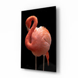 Coral Flamingo Curved Neck Glass Wall Art - 72x46 cm