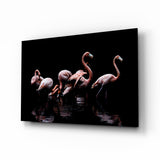 Fenicotteri che Guadano su Sfondo Nero quadro in vetro - 72x46 cm