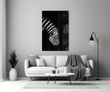 Zebra Glass Wall Art.