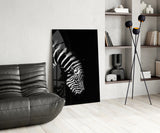 Zebra Glass Wall Art.