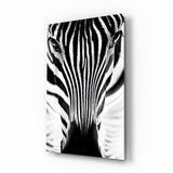 Symmetrisches Zebra-Gesicht Glasbild - 72x46 cm