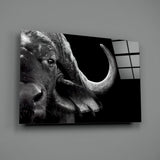 Bison Glass Wall Art.