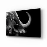 Bison Glass Wall Art - 72x46 cm