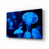 Medusa Luna Azul de las Profundidades cuadro de cristal - 72x46 cm