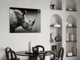 Rhino Glass Wall Art.
