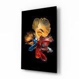 Cuadro de cristal La danza del Betta - 72x46 cm
