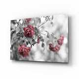Quadro in vetro Rose rosa - 72x46 cm