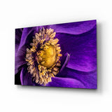 Anemone Viola Macro Fiore Giallo quadro in vetro - 72x46 cm