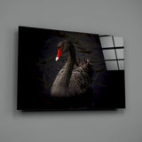 Black Swan Glass Wall Art.