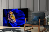 Wheel of Fortune Glass Wall Art