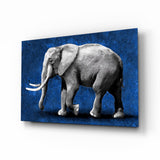 Éléphant en Niveaux de Gris Fond Bleu tableau en verre - 72x46 cm