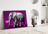 Elephant Glass Wall Art.