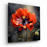Cuadro de cristal Amapola - 40x40 cm
