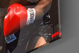 Mike Tyson Glass Wall Art.