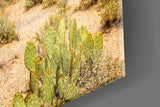 Cactuses Glass Wall Art.