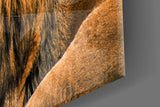 Lion Glass Wall Art.