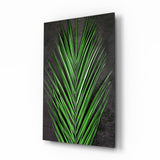 Fronde di palma areca verde acceso quadro in vetro - 72x46 cm
