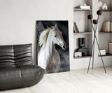 Horse Glass Wall Art.