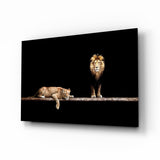 Stehender Löwe und schlafende Löwin Glasbild - 72x46 cm
