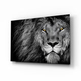 Amber Gaze Monochrome Lion Glass Wall Art - 72x46 cm