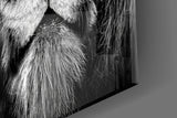 Lion Glass Wall Art.