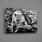 Puma Glass Wall Art.