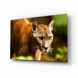 Puma Glass Wall Art