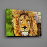 Lion Glass Wall Art.
