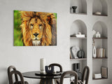 Lion Glass Wall Art.