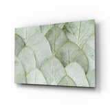 Salbeigrüne Eukalyptusblatt-Lagen Glasbild - 72x46 cm
