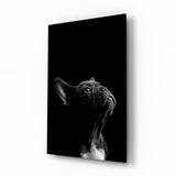 Bulldogge Glasbild - 72x46 cm