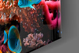 Ocean Life Glass Wall Art.