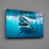 Shark Glass Wall Art.