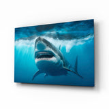 Shark Glass Wall Art.