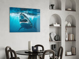 Shark Glass Wall Art.