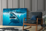 Shark Glass Wall Art.