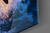 Dolphin Glass Wall Art.