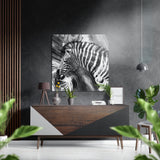 Zebra Brushed Aluminium Dibond Wall Art