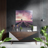 Champ de tulipes – Œuvre murale en aluminium brossé Dibond - 40x40 cm