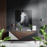 Weißer Pferdekopf vor dunklem Hintergrund Gebürstetes Aluminium-Dibond Wandbild - 40x40 cm